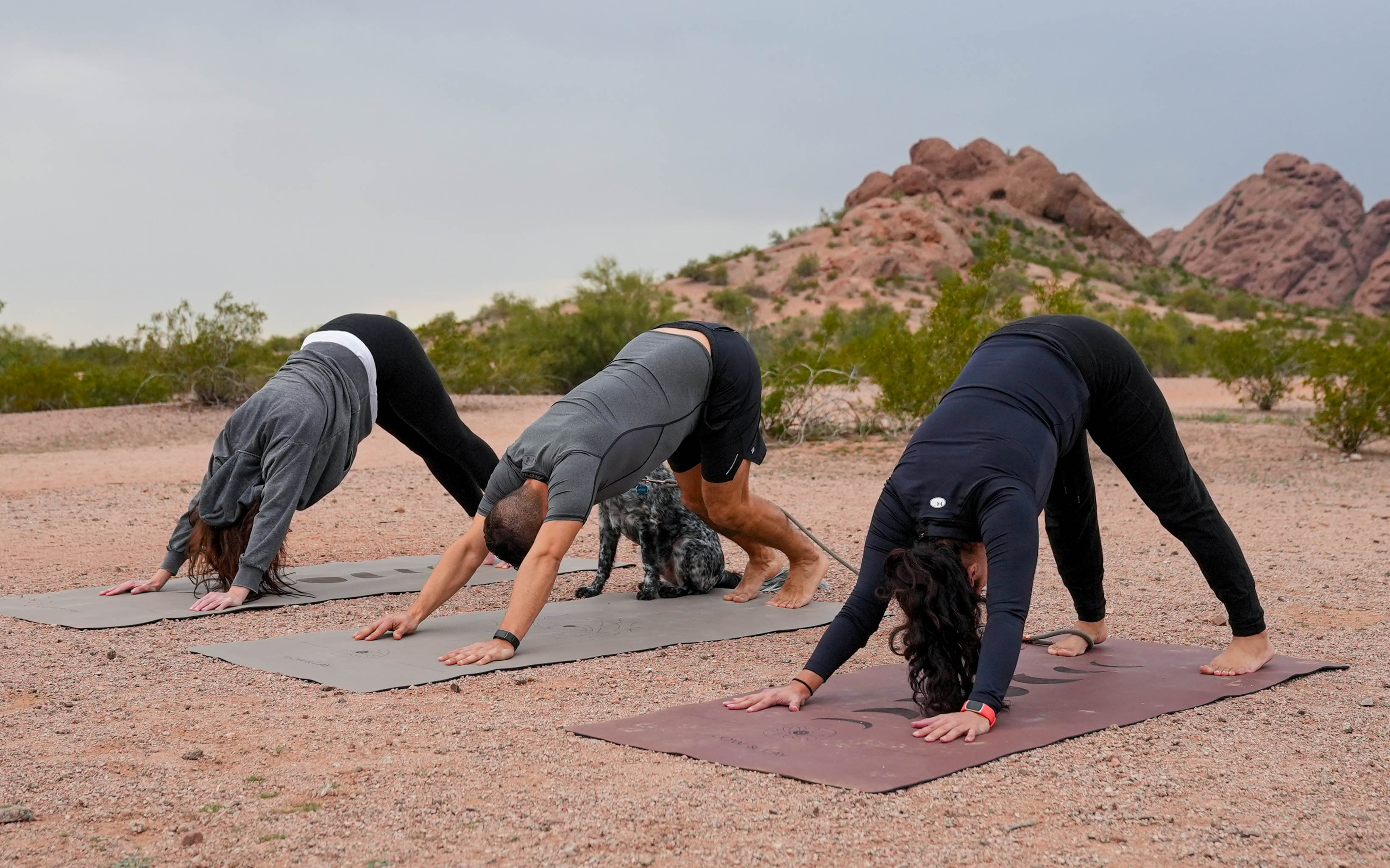 Three people in athletic wear perform a yoga pose downward dog on outdoor extra wide yoga mats in a desert landscape at Papago Park, Phoenix Arizona with rocky hills in the background.